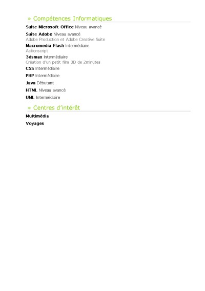 stephane_dimaio_cv__page_2 Resume / cv Dimaio Stephane